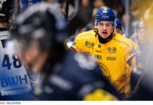 Frondells succé när Juniorkronorna krossade Slovakien Succé för Frondell när Juniorkronorna krossade Slovakien