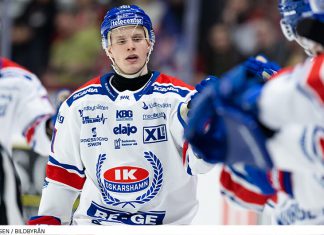 Summering av SHL – landslagsstjärnans stora succé