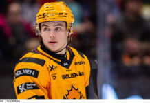 Inför JVM: Så går det för juniorerna i SHL Axel Sandin-Pellikka