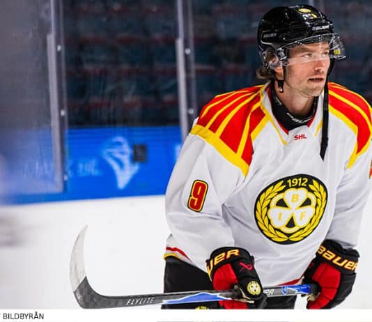 Förhandstitt: 10 stjärnor att följa i SHL 2026/27 10 stjärnor att följa i SHL 2026/27
