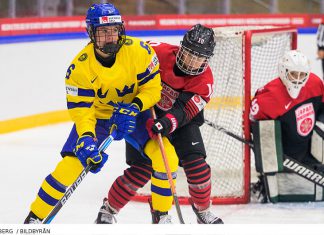 VM: Inför Damkronornas match mot Japan