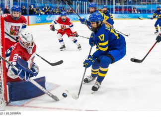 OS: Pressade Damkronor föll mot Tjeckien