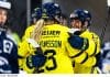 Ny seger för Damkronorna – nollade rivalen Damkronorna besegrade Finland