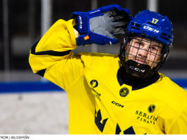 U18-VM: Målfest mot Danmark – nu väntar slutspel för Småkronorna Målfest för Småkronorna i U18-VM