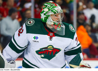 Svenska NHL-målvakterna klara för VM
