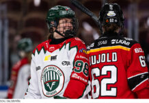 Frölunda en seger från ett historiskt SM-guld Frölunda nära sitt första SM-guld på damsidan