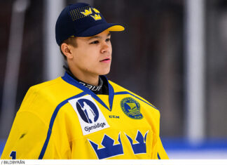 Summering av Hlinka Gretzky Cup