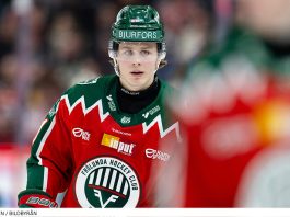 Genomgång – här är spelarna som imponerade mest i SHL:s grundserie De imponerade mest i SHL:s grundserie