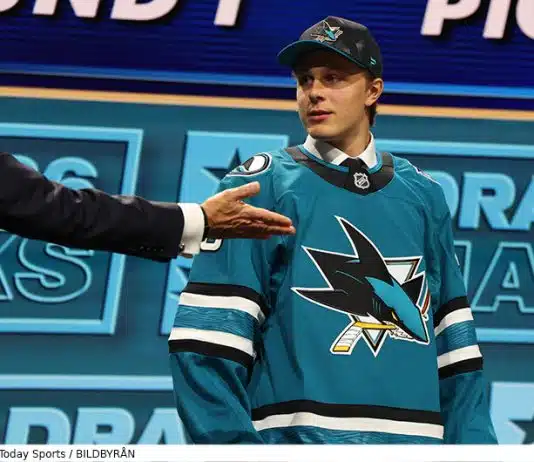 Stenberg tvåa – så det för svenskarna i årets NHL-draft Så gick det för svenskarna i NHL-draften 2026