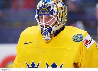 Nostalgi – tio år sedan VM-guldet på hemmaplan 2013