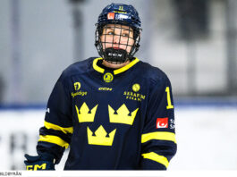 Succé för svenskduon – så gick det i PWHL-draften 2026 Succé för svenskorna i PWHL-draften