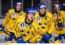 Sammanfattning av Juniorkronornas läger i Nyköping