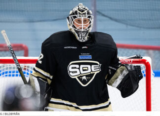 Lägeskollen i SDHL – doldislagets succé fortsätter Succén fortsätter för SDE