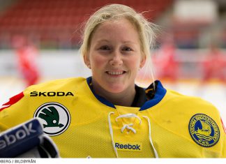 Tillbakablick – så har det gått tidigare för Damkronorna i VM