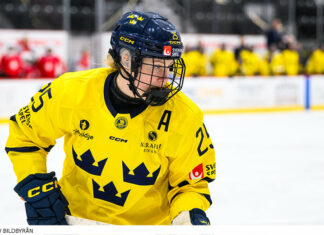 Inför VM: Grupp B – lagen, stjärnorna, matcherna