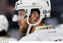 Proffskollen – så har det gått för svenskarna i Tyskland, Schweiz och Österrike den här säsongen