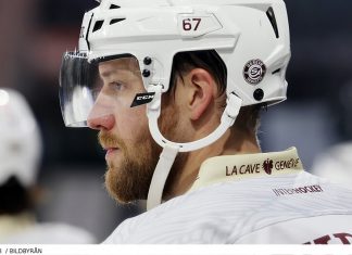 Proffskollen – så har det gått för svenskarna i Tyskland, Schweiz och Österrike den här säsongen