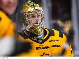 Inför semifinalerna i SM-slutspelet Inför semifinalerna i SM-slutspelet