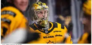 Inför semifinalerna i SM-slutspelet Inför semifinalerna i SM-slutspelet