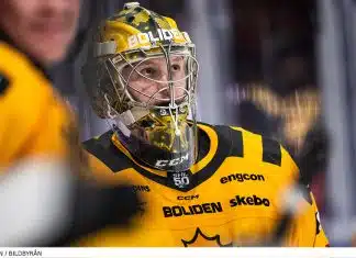 Inför semifinalerna i SM-slutspelet Inför semifinalerna i SM-slutspelet