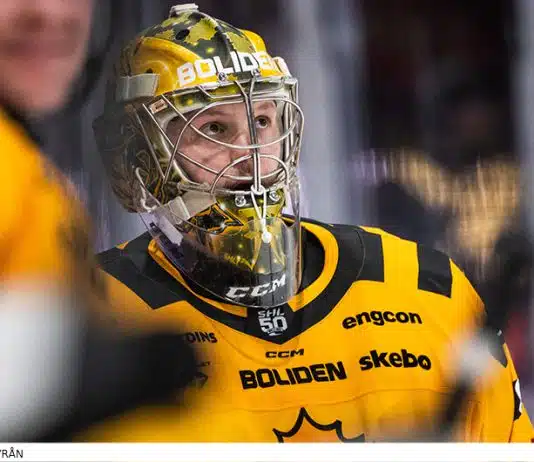 Inför semifinalerna i SM-slutspelet Inför semifinalerna i SM-slutspelet