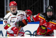 Inför finalserien i SDHL mellan Luleå och Modo