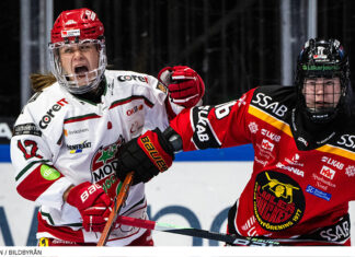 Inför finalserien i SDHL mellan Luleå och Modo