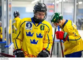 Seger för Juniorkronorna efter sen vändning mot Tjeckien Seger för Juniorkronorna mot Tjeckien