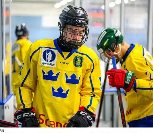 Seger för Juniorkronorna efter sen vändning mot Tjeckien Seger för Juniorkronorna mot Tjeckien