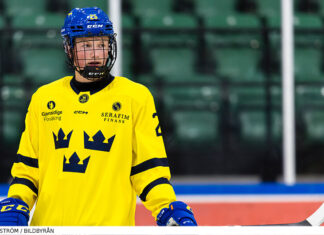 Hlinka-Gretzky Cup: Inför finalen mellan Sverige och USA Seger för Småkronorna i Hlinka-Gretzky Cup