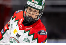 Fixstjärnan tillbaka – Här är Finlands trupp till VM