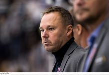 Mikael Karlberg ny assisterande förbundskapten – “blev väldigt överraskad”