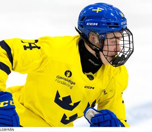 Hlinka-Gretzky Cup 2026: Summering av gruppspelet Summering av gruppspelet i Hlinka-Gretzky Cup 2026