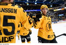 Mästarklass i Skellefteå – så gick det i SHL:s grundserie 25/26 Så gick det i SHL:s grundserie 2025/26