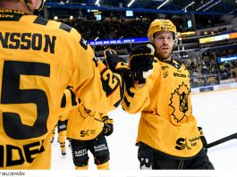 Mästarklass i Skellefteå – så gick det i SHL:s grundserie 25/26 Så gick det i SHL:s grundserie 2025/26