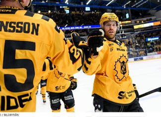 Mästarklass i Skellefteå – så gick det i SHL:s grundserie 25/26 Så gick det i SHL:s grundserie 2025/26