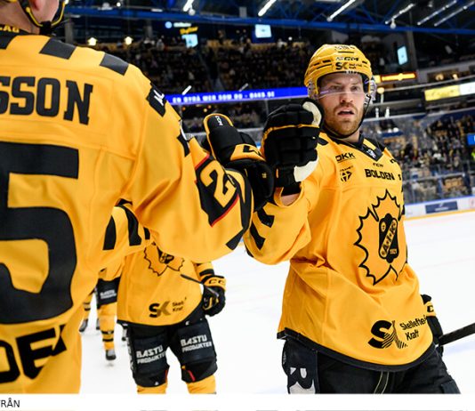 Mästarklass i Skellefteå – så gick det i SHL:s grundserie 25/26 Så gick det i SHL:s grundserie 2025/26