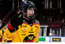 Genomgång: Landslagsimporterna som imponerar i SDHL