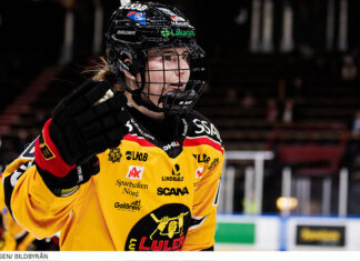 Genomgång: Landslagsimporterna som imponerar i SDHL