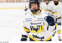 Mardrömsbeskedet – karriären över för Sanni Hakala