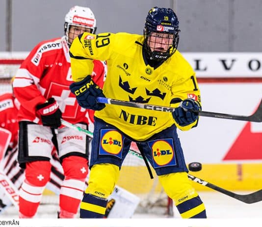 Ny seger för Damkronorna Ny seger för Damkronorna