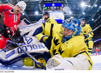 Summering av förra veckans landskamper