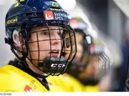 INTERVJU: Thea Johansson om flytten till HV71 – “Som ett hem för mig” Thea Johansson om flytten hem till HV71