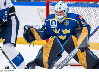 Så har sommaren varit för de svenska landslagen