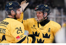 Här är spelarna som representerat Tre Kronor den här säsongen