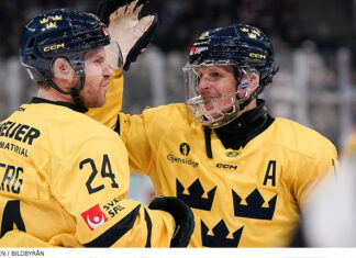 Här är spelarna som representerat Tre Kronor den här säsongen