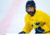 Här är Sveriges trupp till World Under 17 Hockey Challenge Viggo Björck uttagen i Småkronorna