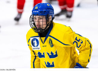 Hlinka-Gretzky Cup: Inför nattens semifinaler Seger för Småkronorna mot USA