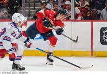 Succé för doldisen – så gick det för svenskarna i nattens NHL-matcher Succé för Wilmer Skoog