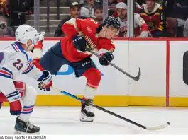 Succé för doldisen – så gick det för svenskarna i nattens NHL-matcher Succé för Wilmer Skoog